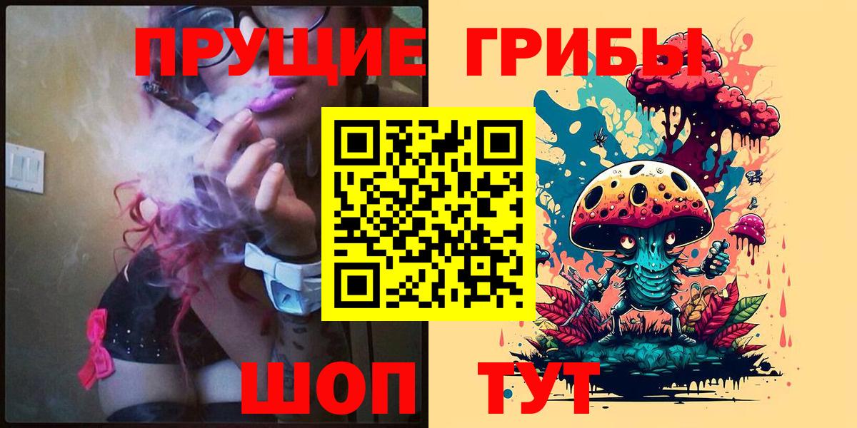 Псилоцибиновые грибы Psilocybe Артёмовский