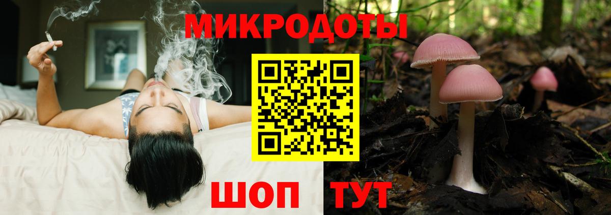хочу наркоту  Псилоцибиновые грибы Cubensis  Вход с VPN  Артёмовский 